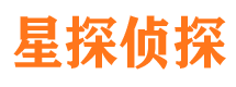 南岸侦探公司